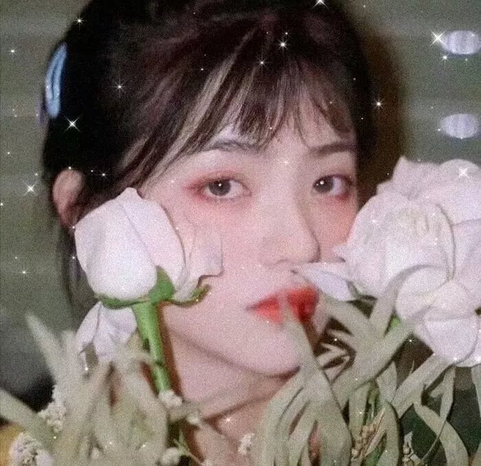 繁华梦一场 封面